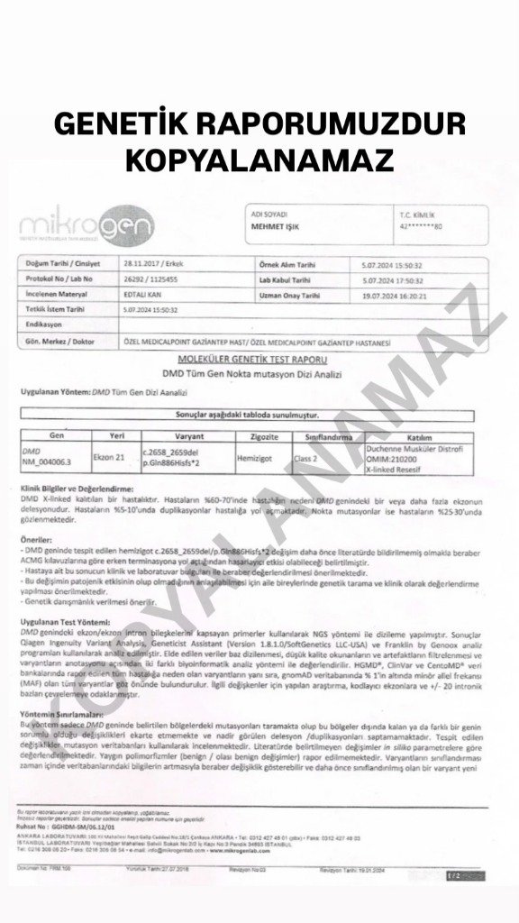 Genetik Test Raporu